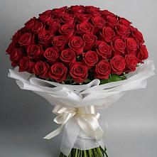Букет 101 Красная роза Блэк Мэджик в Шарлык