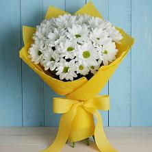 Букет цветов из:  Хризантемы в Шарлык