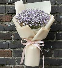 Букет цветов из:  Гипсофила в Шарлык