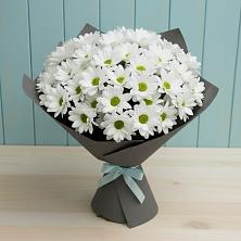 Букет цветов из:  Хризантемы в Шарлык