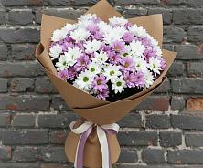 Букет цветов из:  Хризантемы в Шарлык