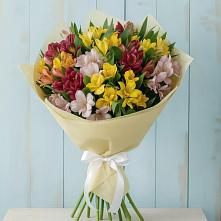 Букет цветов из:  Альстромерии в Шарлык