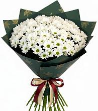 Букет цветов из:  Хризантемы #REPLACE_PRED# Шарлык