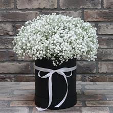 Цветочная композиция из Гипсофила в шляпной коробке #REPLACE_PRED# Шарлык