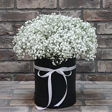 Цветочная композиция из Гипсофила в шляпной коробке в Шарлык