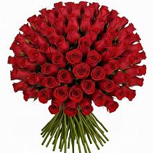 Букет Красные розы Чери Лав в Шарлык