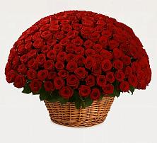 Премиум букет из: Розы в Шарлык