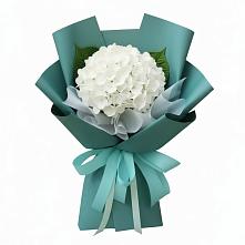 Букет цветов из:  Гортензия #REPLACE_PRED# Шарлык